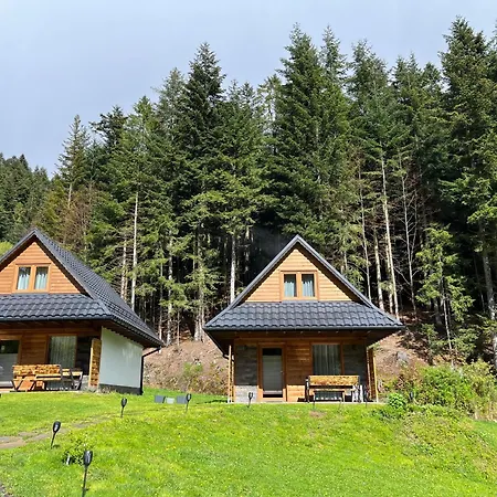 Lesne Zacisze