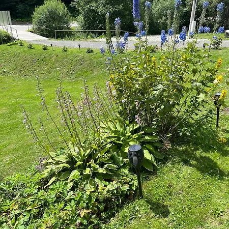 Lesne Zacisze Hébergement de vacances *