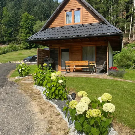 Lesne Zacisze